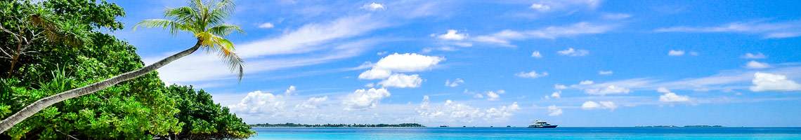 Derm Ocean