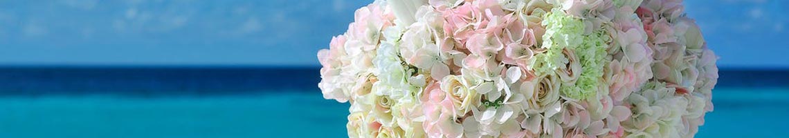 Header Beach Bouquette